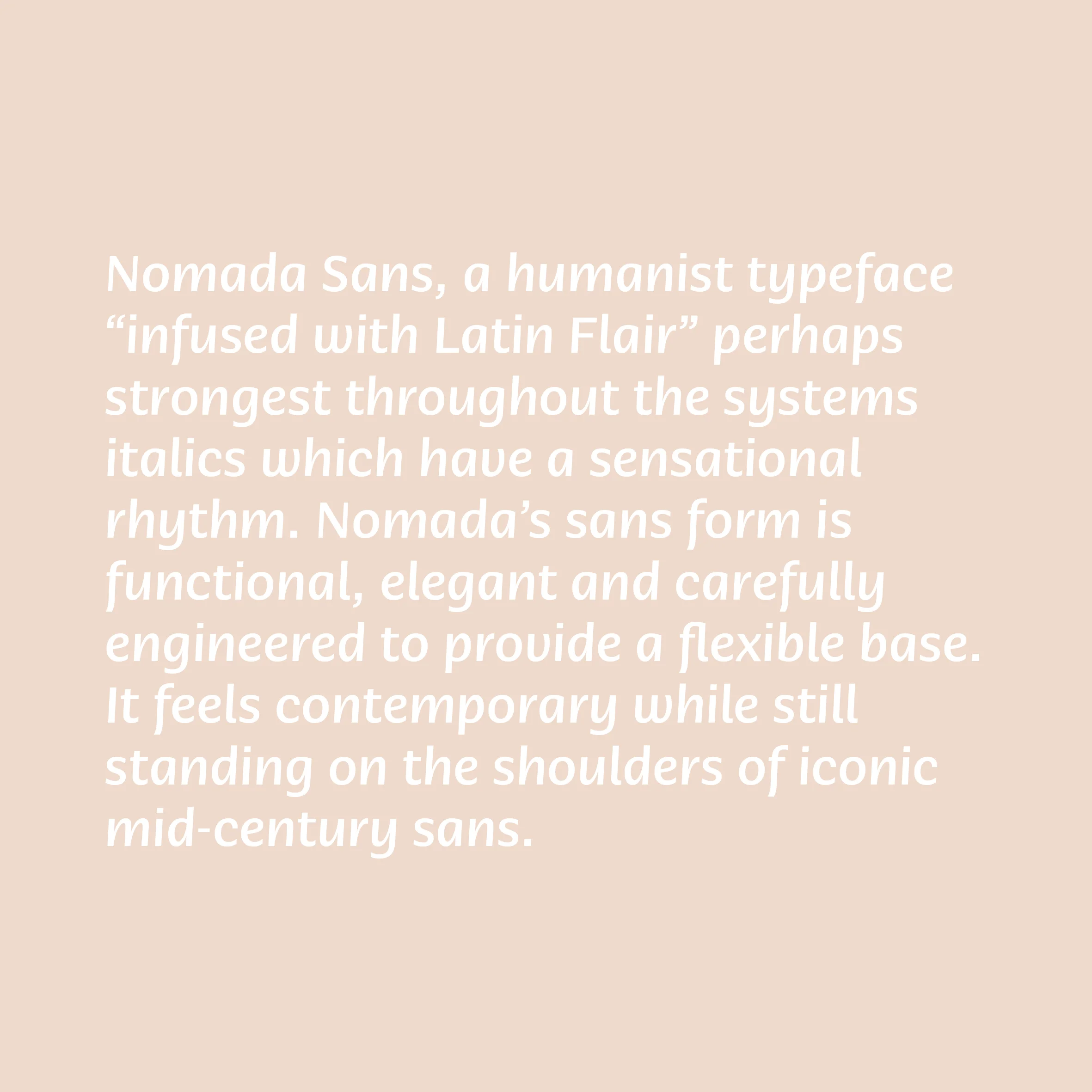 Nomada2.jpg