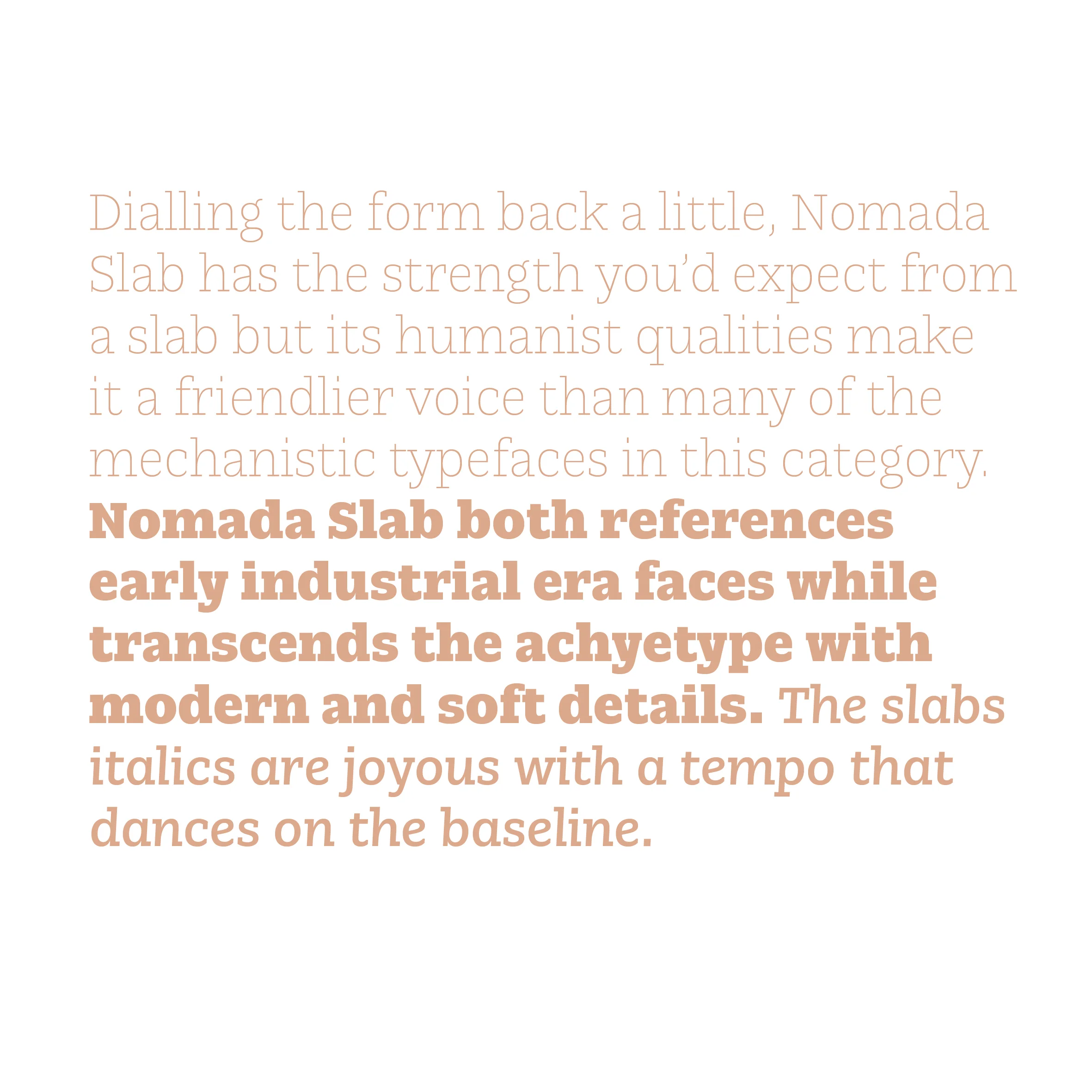 Nomada8.jpg
