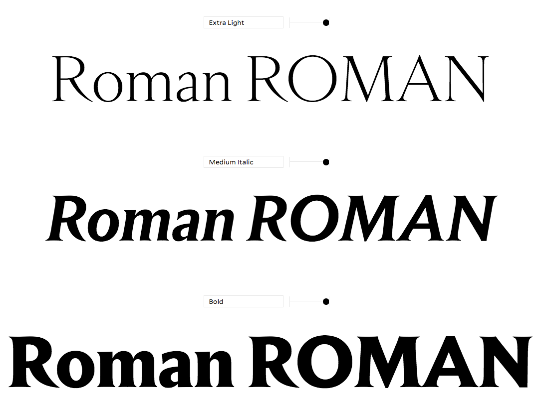 Empirica is versatile and diverse. Its various styles weight distribution and contrast are all unique but share foundational cues which make the family cohesive. Empirica offers a full palette for editorial, branding and identity projects. For the largest headline settings, Empirica offers alternate short descenders for tighter line spacing.