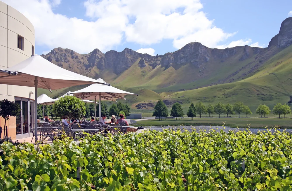 Beautiful Day staring up at Te Mata "The Fallen Giant"