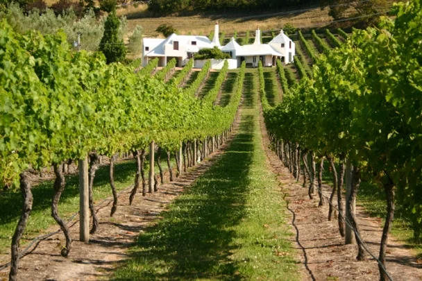 The Te Mata 'Coleraine' Vineyard also includes the current owner's 1980's home designed by architect Ian Athfield.