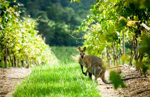 One of these fellas leaped across the road in front of me just as I was leaving too!