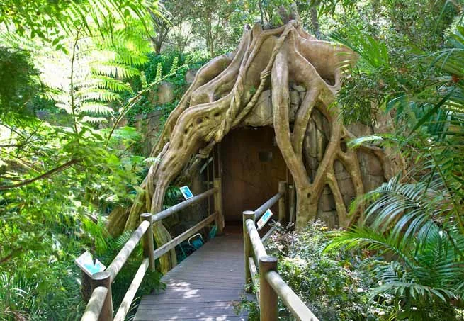 The entrance to the Glow Worm caves, where flash photography is forbidden.