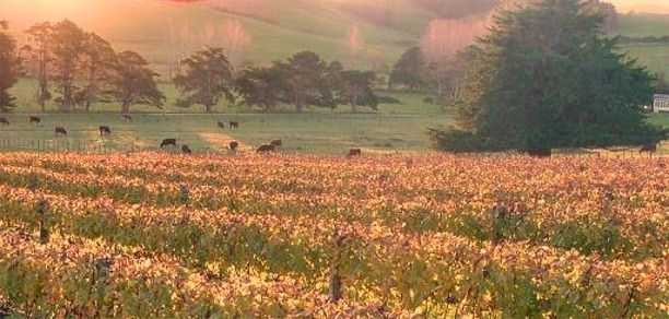 Hyperion is truly stunning in Autumn as well.