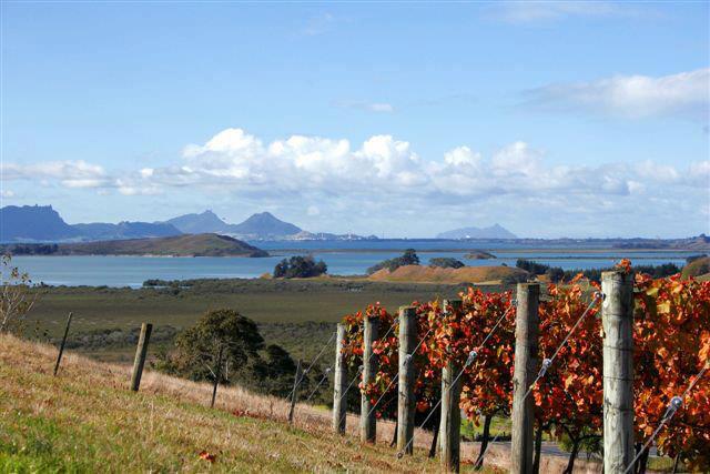 The Estate certainly earns their name with the beautiful view over Whangarei Harbour.