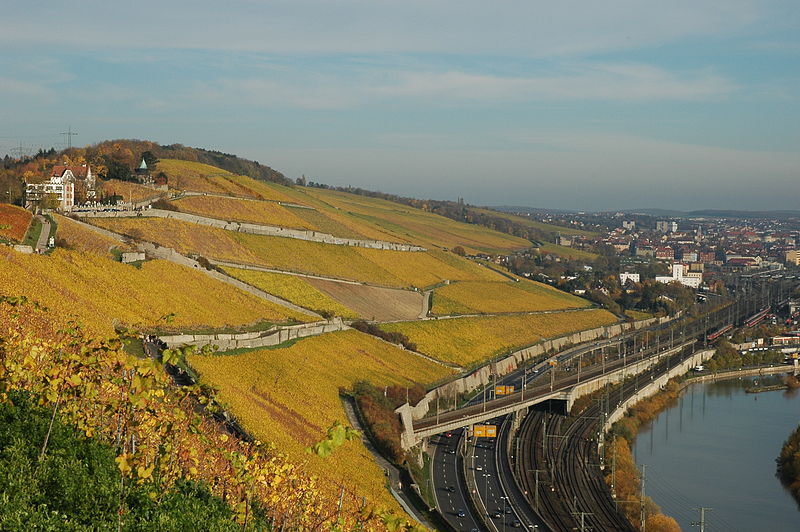 The well known 85ha 'Würzburger Stein' vineyard on a hill outside the city of Würzburg.