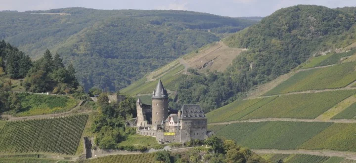 Stahleck Castle with surrounding vineyards.