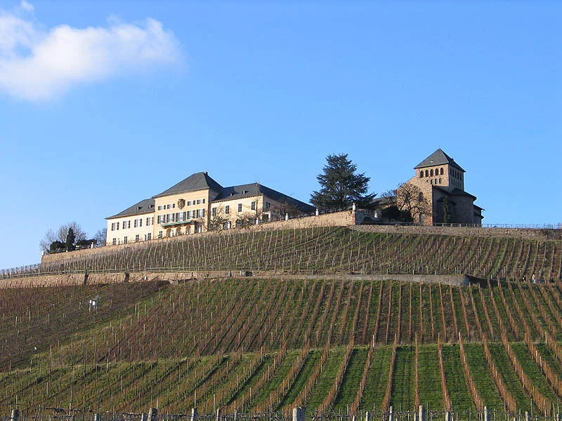 The historically important 'Schloss Johannisberg' which was an early adopter of the Riesling variety for which Germany is now famous.