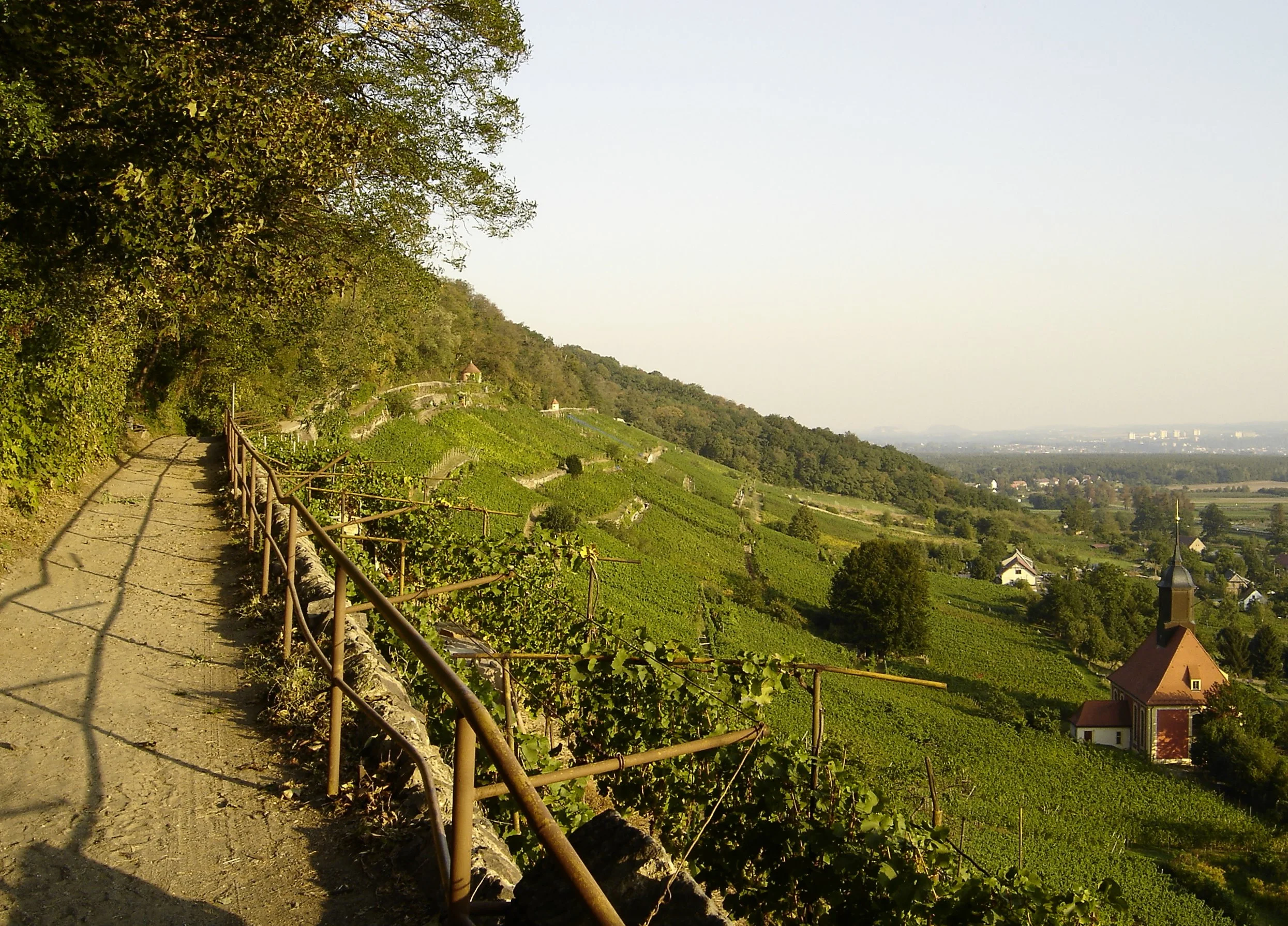 A footpath through a Sachsen vineyard in the village of Pillnitz.