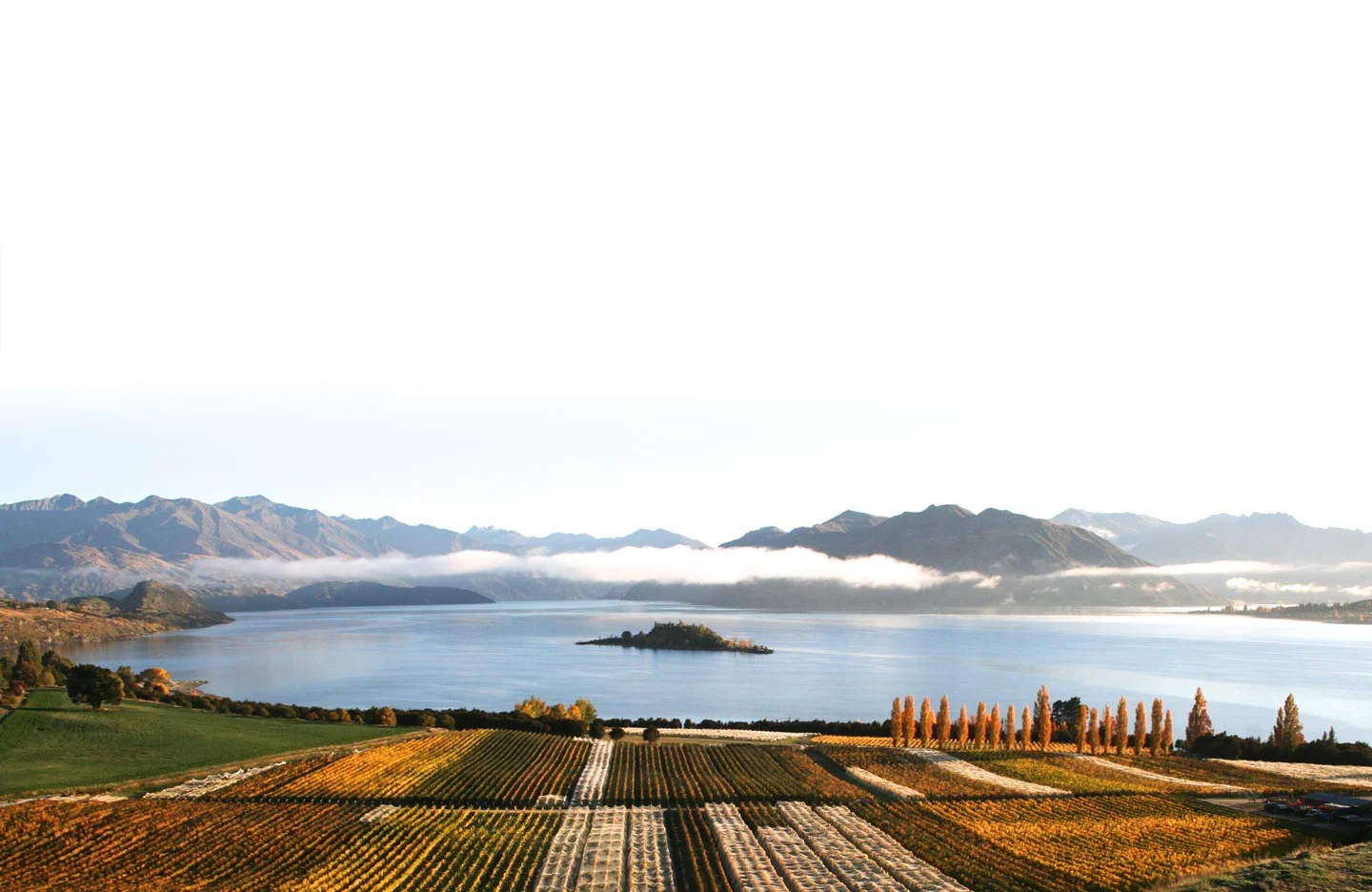 Rippon Vineyard at Lake Wanaka, Central Otago.