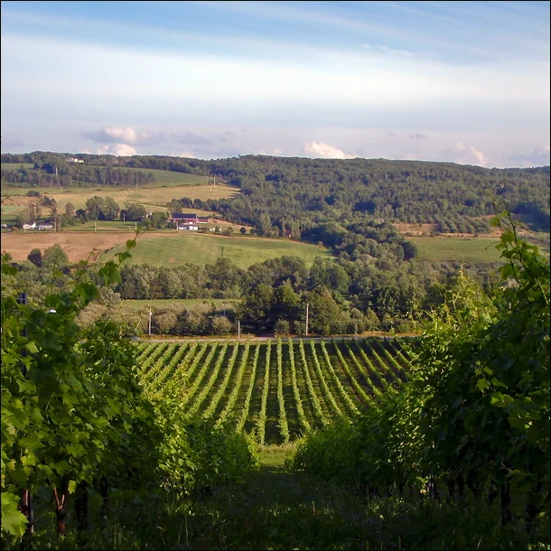 Gaspereau Valley, Nova Scotia
