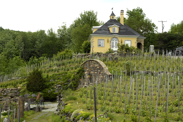 Chapelle Ste. Agnes Vineyard in Eastern Townships, Quebec