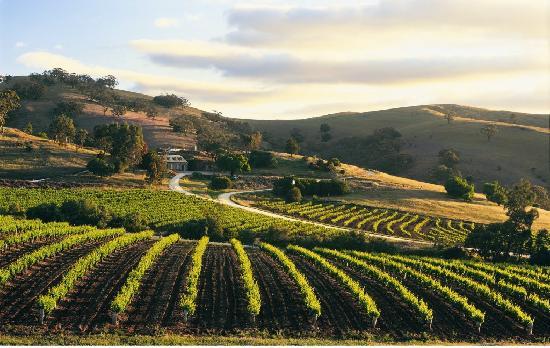 Bethany Wines in Barossa Valley