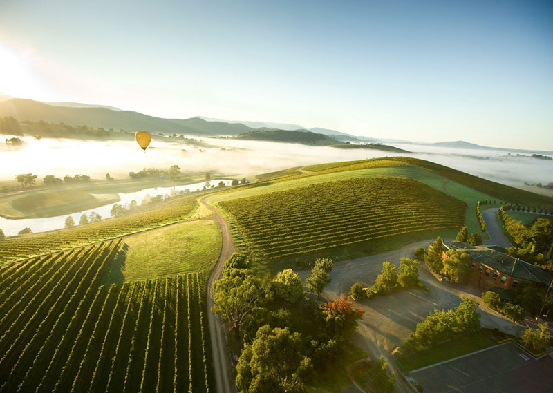 Hot-air ballooning above vineyards in the Yarra Valley wine region of the Port Philip zone.