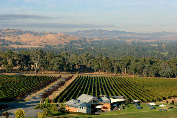 Gapsted Wines , Alpine Valley region