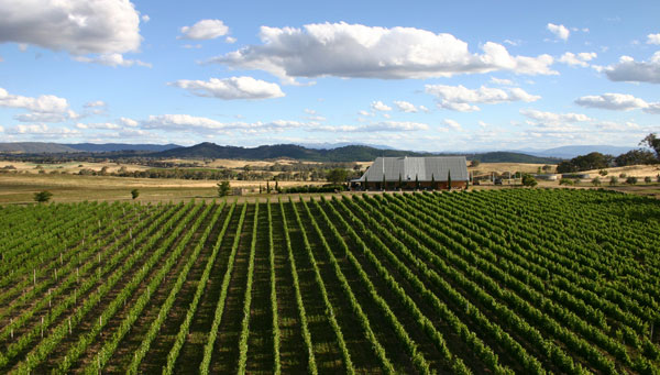 Castagna Vineyards , Beechworth