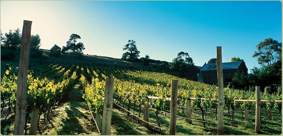 Goona Warra Vineyard , Sunbury - Just 10 minutes from Melbourne Airport