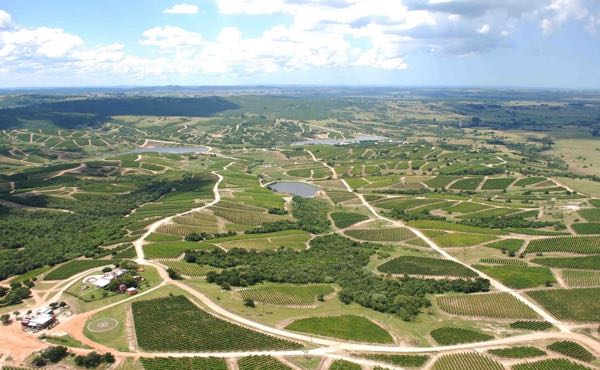 The vineyards that have suddenly exploded in size in Maldonado. Plantings by Bodega Garzón