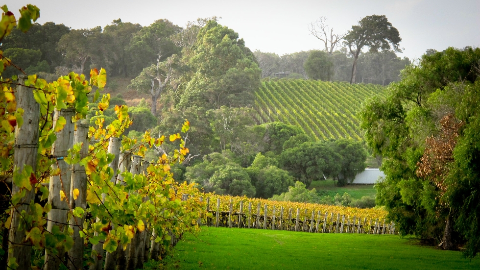 Brookland Valley Estate - Margaret River Wine Region