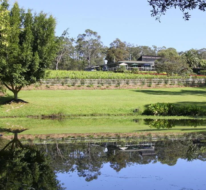 Cassegrain Wines&nbsp;- Modern founder of the Hastings River wine region.