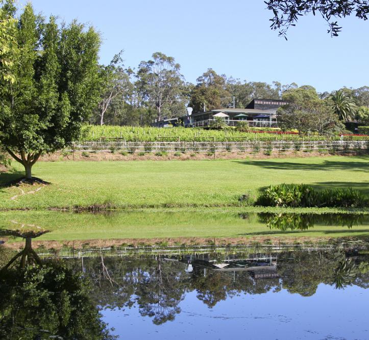Cassegrain Wines - Modern founder of the Hastings River wine region.