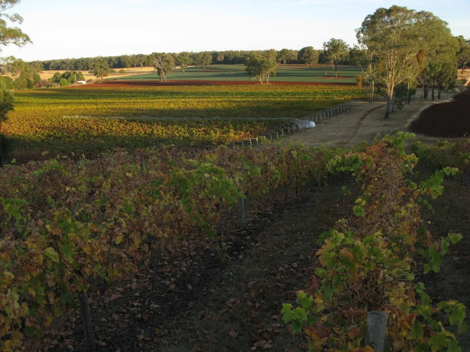 Acclaimed Topper's Mountain Vineyard - New England