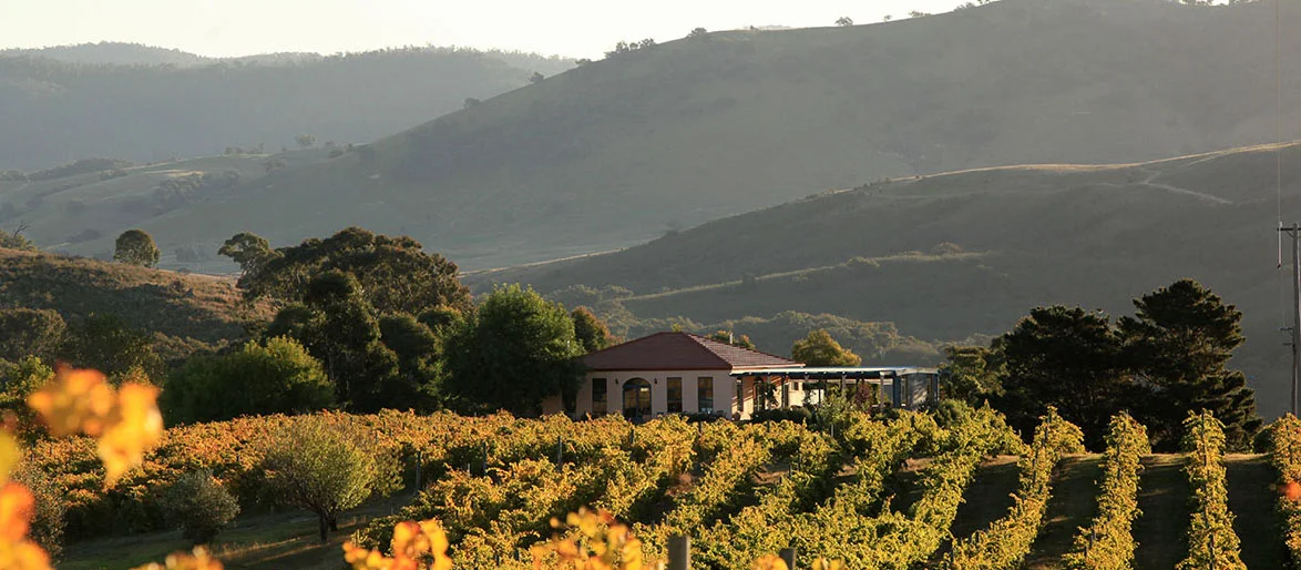 Brindabella Hills Winery - Canberra District