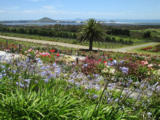 The tropical view from Karikari Estate out to the Pacific Ocean