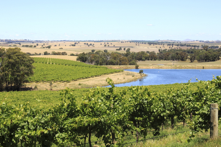 Moppity Vineyards - Hilltops