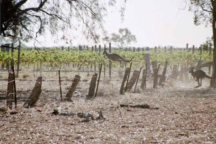 Canonbah Bridge Wines - Western Plains
