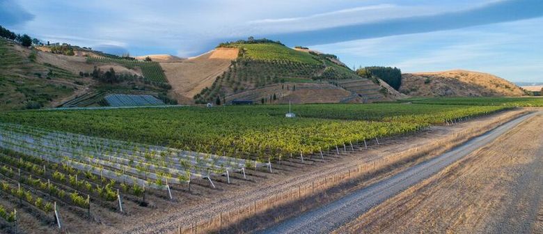 Vineyards of the Gimblett Gravels and Roys Hill