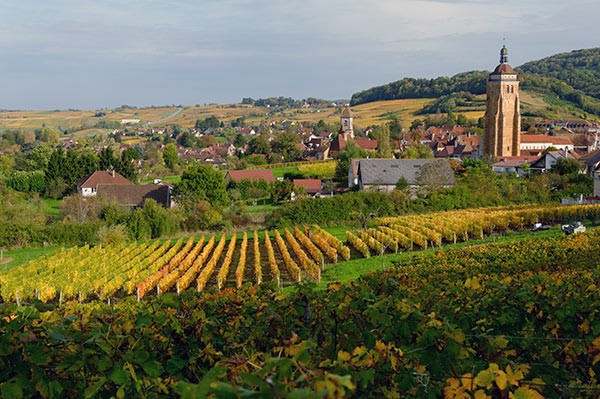 Arbois, Jura