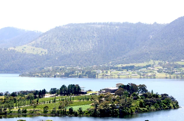 Moorilla Estate in the Derwent Valley