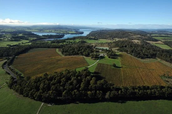 Goaty Hill Wines , Tamar Valley