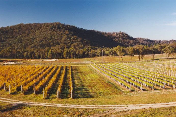 Symphony Hill Winery , Granite Belt