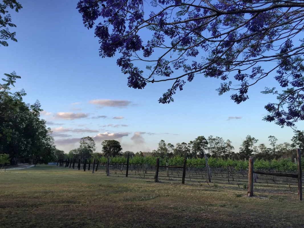 Brierley Wines , North Burnett