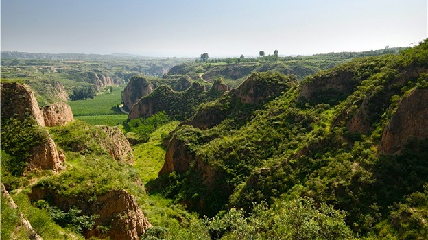 A Vineyard growing for Grace Vineyard in the distance is hidden the nooks and crannies of the Loess Plateau - Shanxi Province.