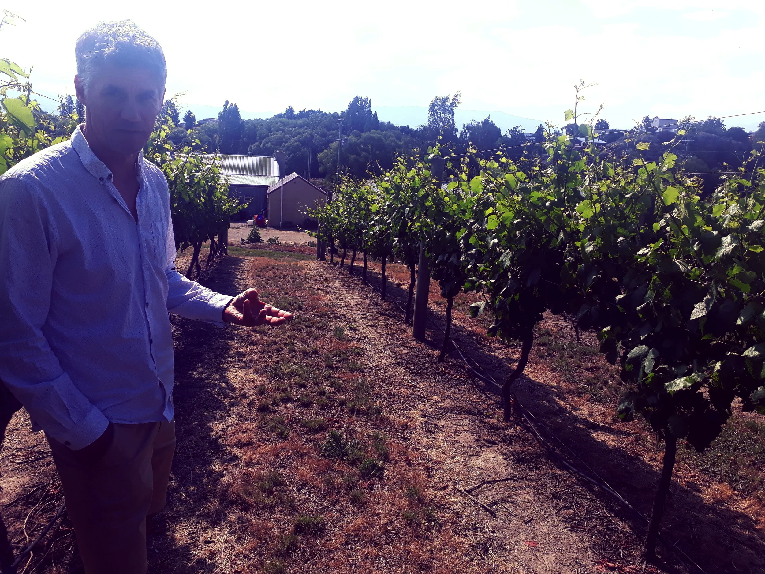 Dave Grant shows us through Shaky Bridge's vineyard