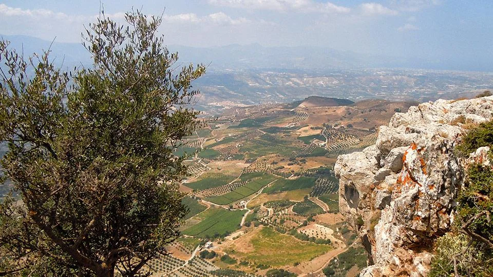 View across the vineyards of the Archanes region Image: Sinadinakis Winery