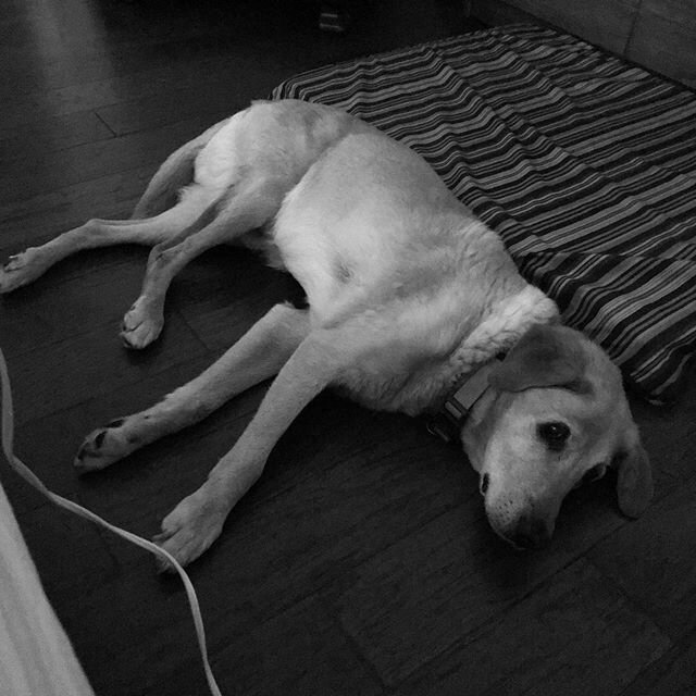 Jeb is feeling mercury retrograde 💫