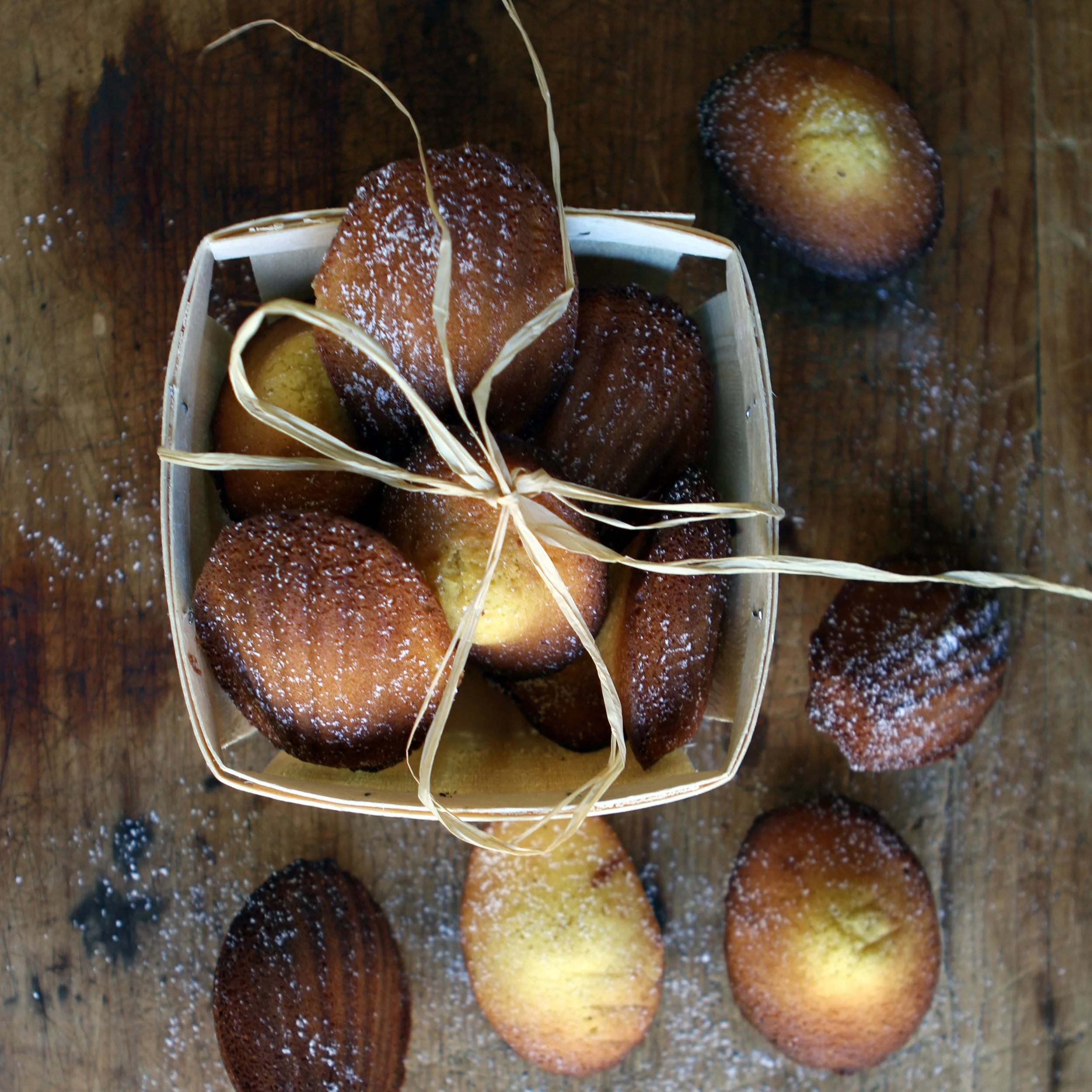 SUOKKO_Honey Lemon Madeleines.jpg