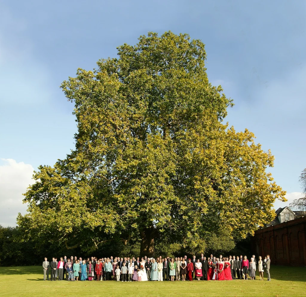 natural wedding photography.jpg
