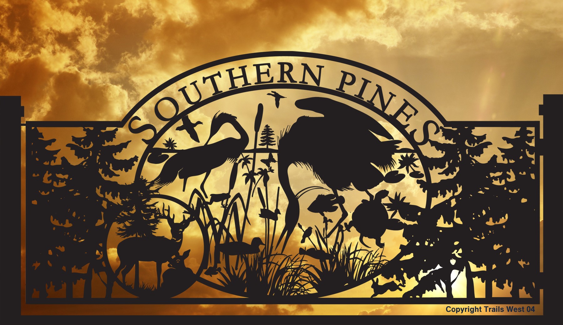 Southern_Pines.jpg