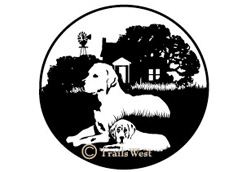 Yellow Labs-A-145