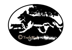 German Shepherd Herding-A-146