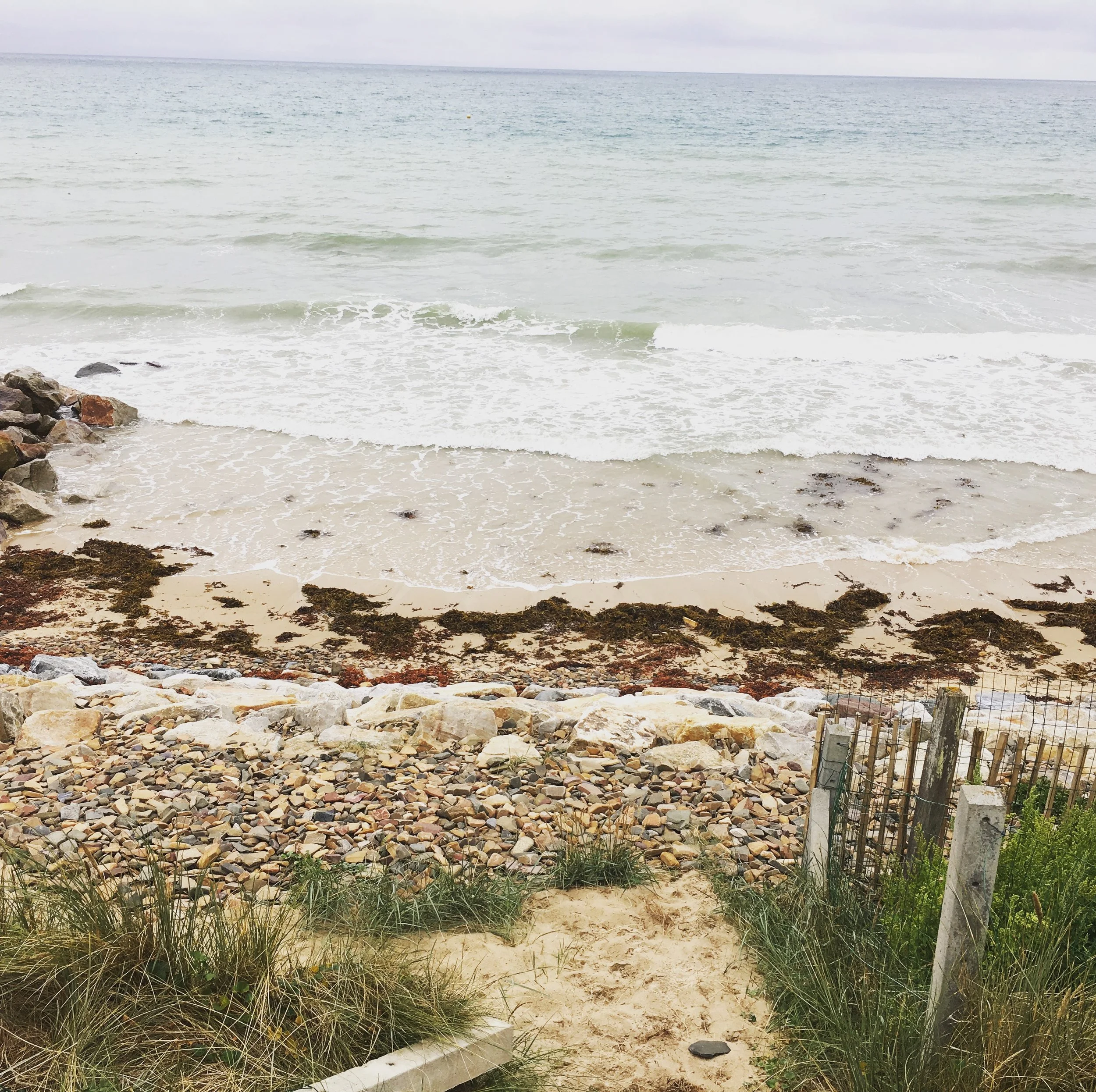 Four Dozen Cases of Wine