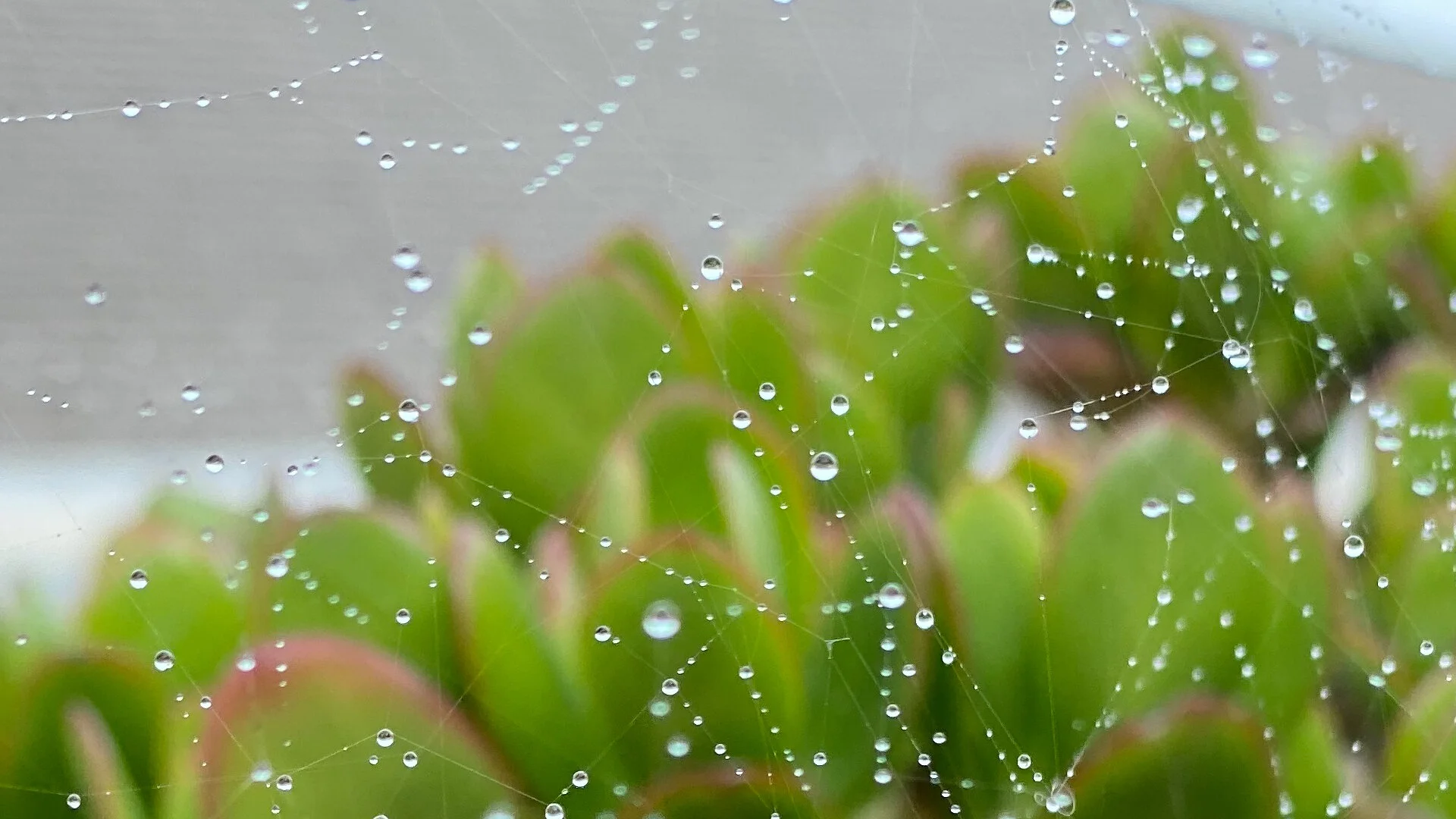 Waterdrops-01.jpg