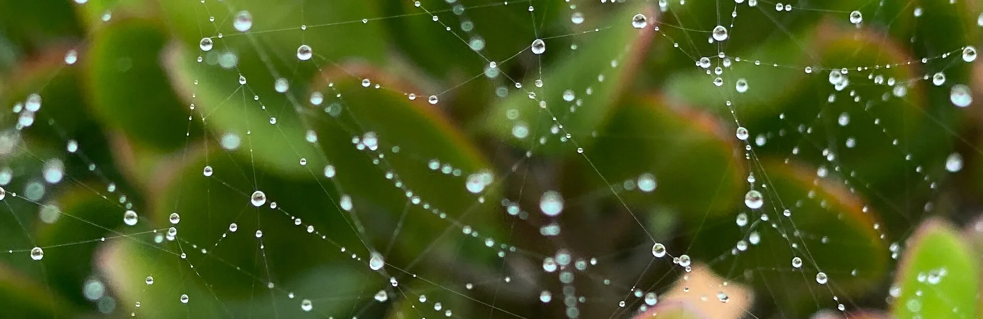 Waterdrops-02.jpg