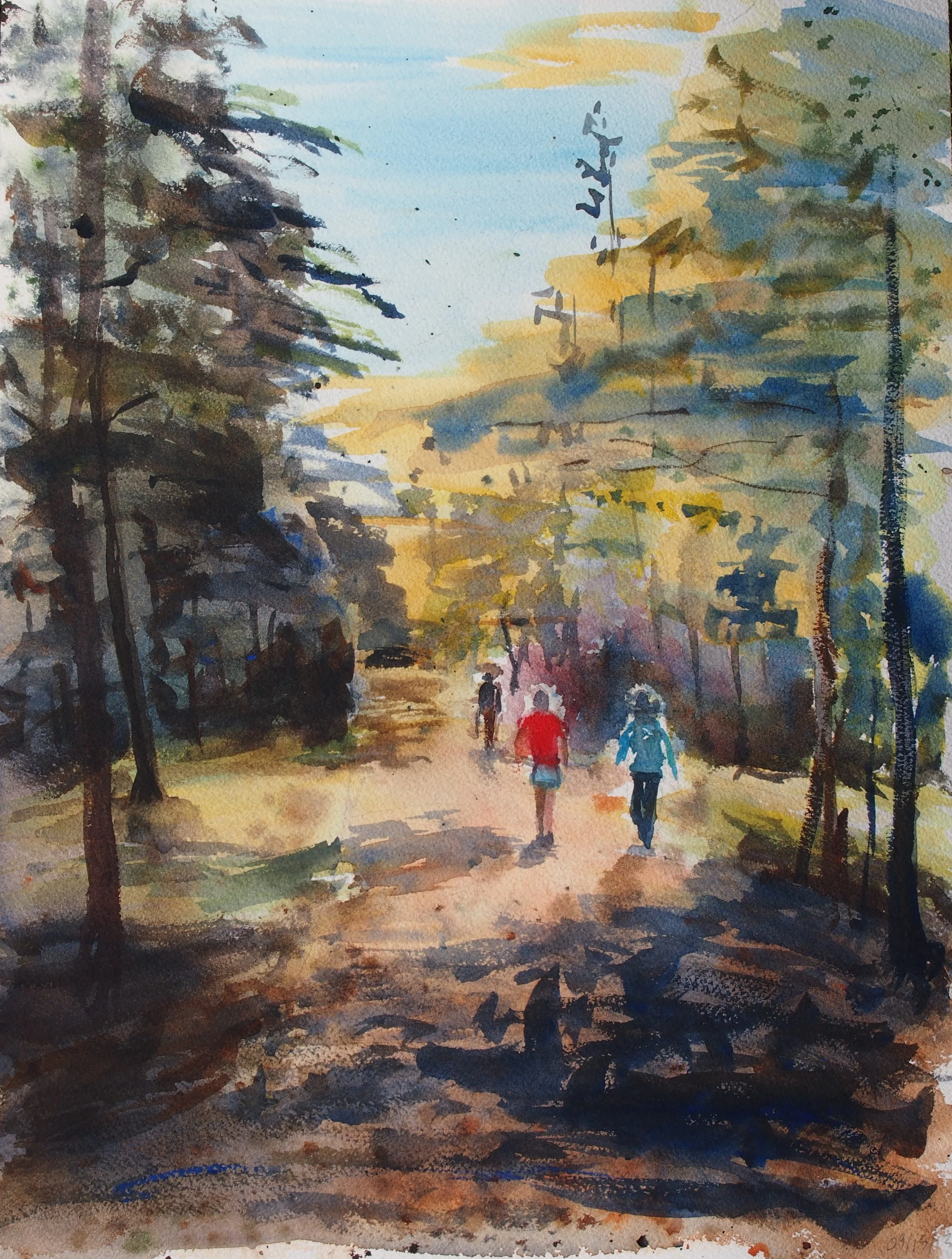 Old Summit Road.jpg