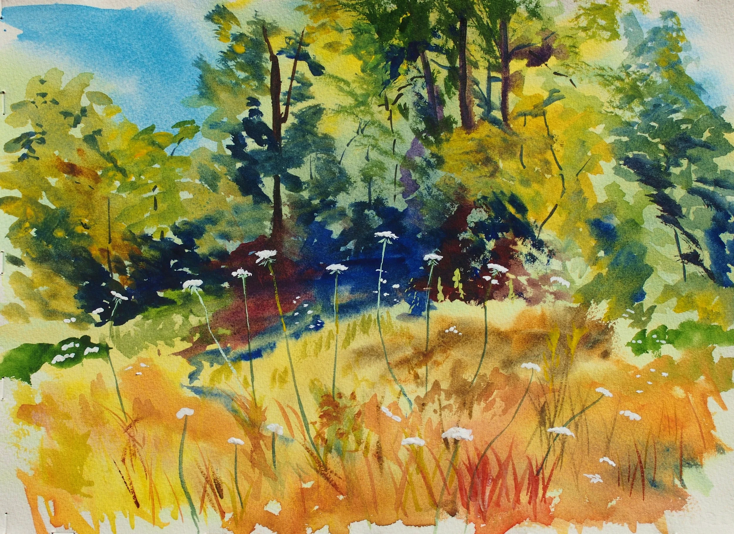 Meadow at Tanglewood
